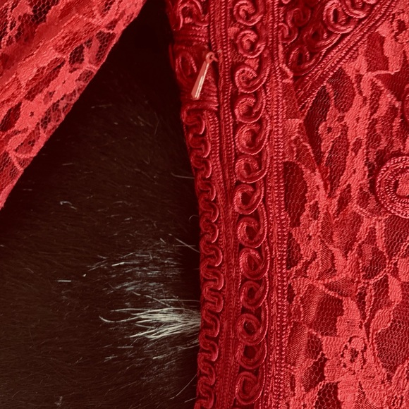 Red Lace Sue Wong Dress - Picture 5 of 6